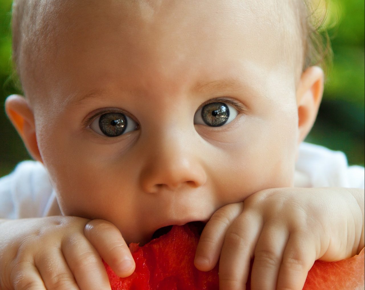 My Toddler Won't Eat Healthy Foods! HELP!